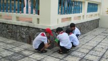 Img 0055