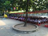 khai giảng nh 15 16