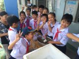 khai giảng nh 15 16