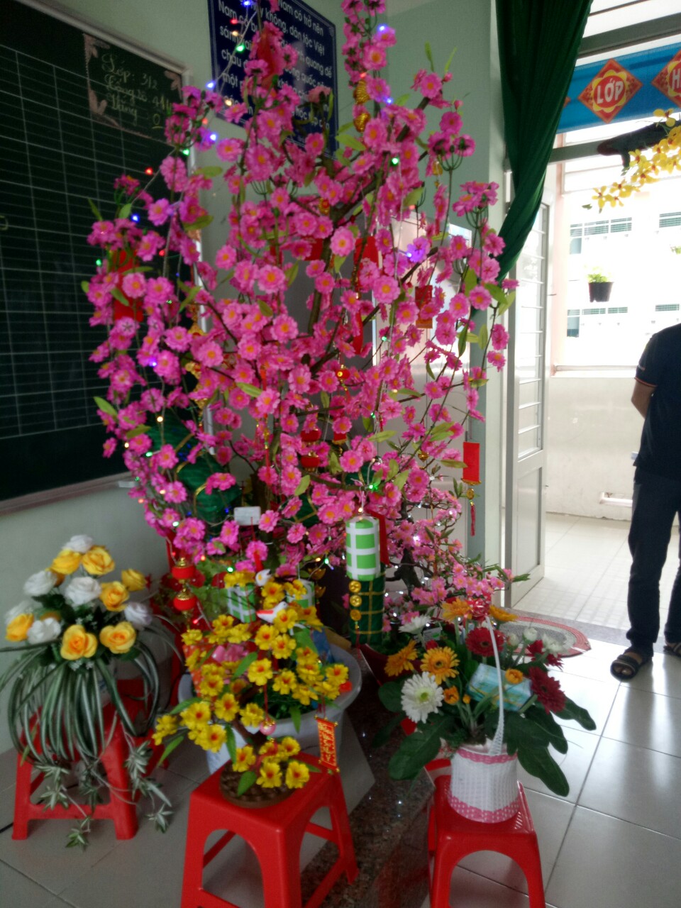 7mai dao